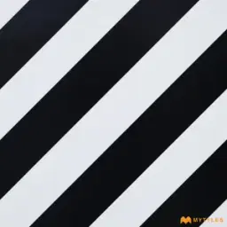 White and Black Moroccan Tile Code37962