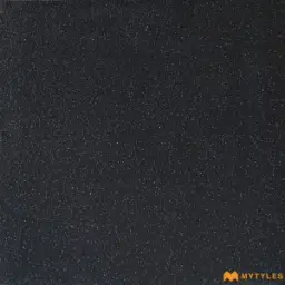 Jet Black Rustic Tile Code39527