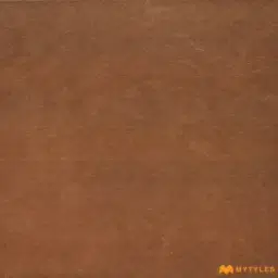 Brown Parking Tile Code38351