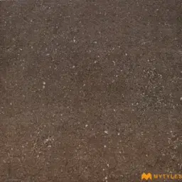 Earthy Brown Granular Vitrified Parking Tile Code39155