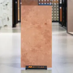 Terracotta Vitrified Tile Code38309DK