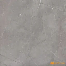 Castano Gray Rustic Tile Code38786 