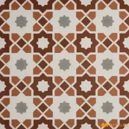 Terracotta Star Moroccan Tile Code41235